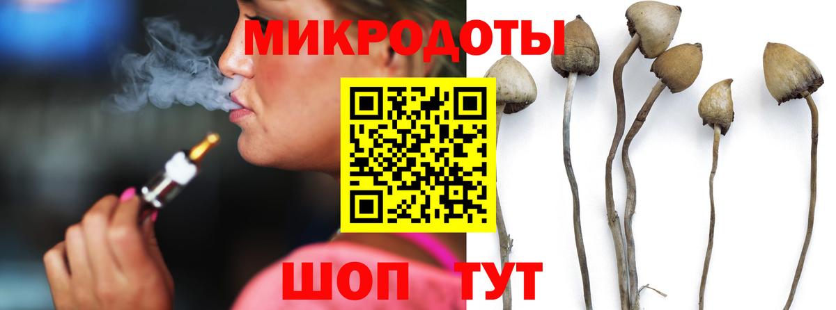Псилоцибиновые грибы MAGIC MUSHROOMS Усолье-Сибирское