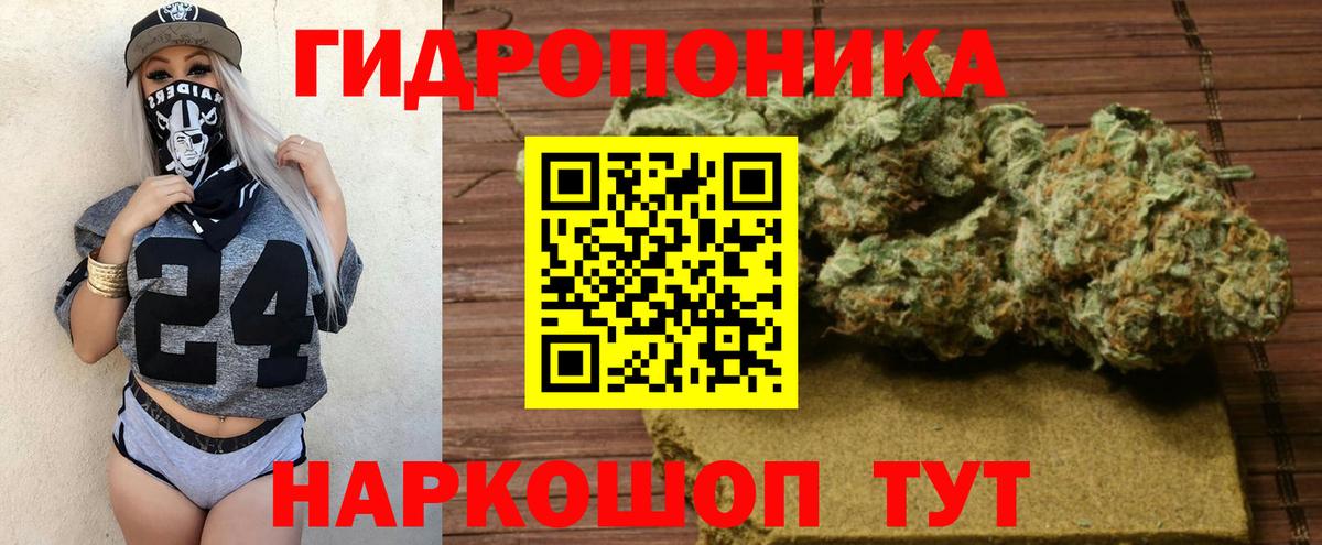 МАРИХУАНА план  Вход с VPN  Усолье-Сибирское  Конопля сатива 